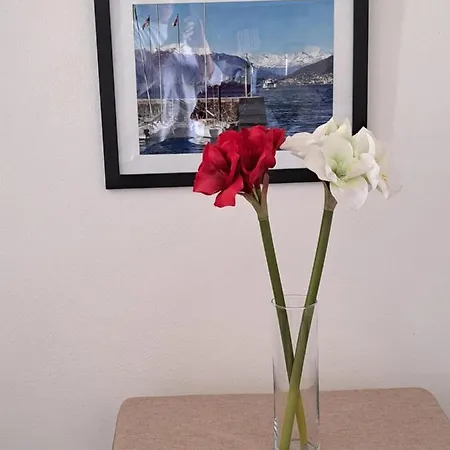 Apartment La Casa Sul Porto *